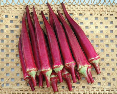 Red Lady Finger